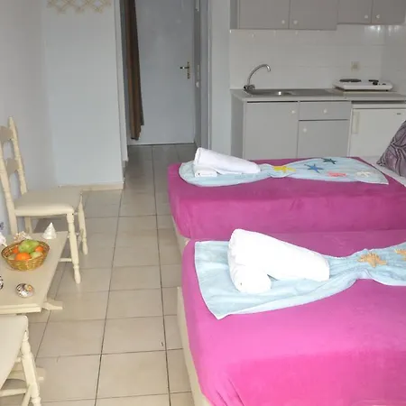 Hotel Minoa Sun
